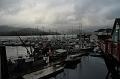 Prince Rupert (2)